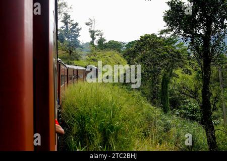 La gare principale de Colombo fort du Sri Lanka à la gare de Badulla traverse une forêt dense. Banque D'Images