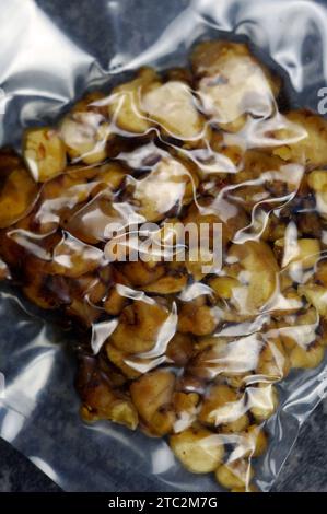 Truffes magiques 15 gm [sclérotes de champignons Psilocybine] - CHAMPIGNONS MAGIQUES Banque D'Images