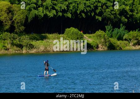 Une scène tranquille se déroule le long de la rivière Taehwa, avec un paddle boarder glissant doucement sur l'eau, encadré par la beauté sereine d'une forêt de bambous Banque D'Images