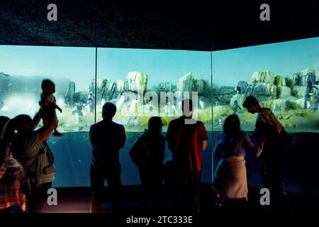 Penguin Enclosure, Central Park Zoo, New York, États-Unis d'Amérique. Banque D'Images