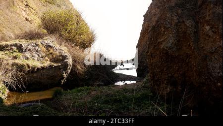 Ryhope Dene, Tyne & Wear, Angleterre Banque D'Images