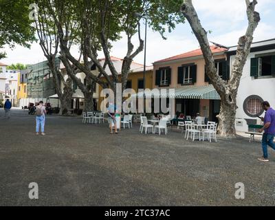 Machico, Madère, Portugal, 17 mai 2022 : rue piétonne au centre de la ville de Machico avec des platanes et des maisons à la traditionnelle coloniale portugaise s Banque D'Images