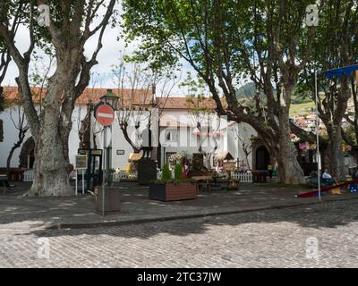 Machico, Madère, Portugal, 17 mai 2022 : rue piétonne au centre de la ville de Machico avec des platanes, des décorations florales et des maisons à la p traditionnelle Banque D'Images