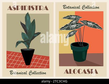Affiches rétro botaniques dans le style Mid Century. Illustration de Vecteur