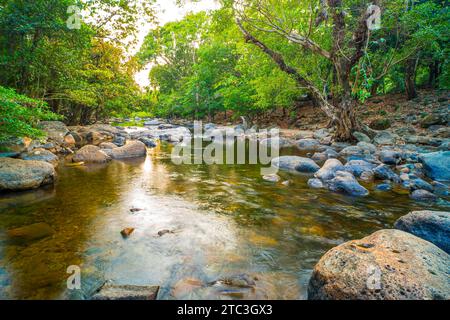 Tranquille Serenade Shallow Stream coulant doucement à travers la Forest Embrace Banque D'Images