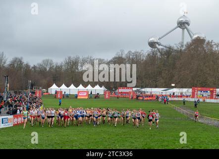 Bruxelles, Belgique. 10 décembre 2023. Départ de la course féminine U20 aux Championnats d’Europe de cross-country SPAR, Laeken Park à Bruxelles, Belgique, le 10 décembre 2023. Photo de Gary Mitchell crédit : Gary Mitchell, GMP Media/Alamy Live News Banque D'Images