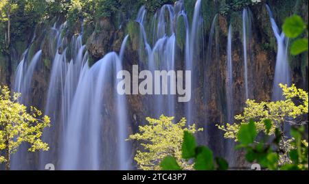 Panorama des cascades dans le parc national des lacs de Plitvice, Croatie, Europe Banque D'Images