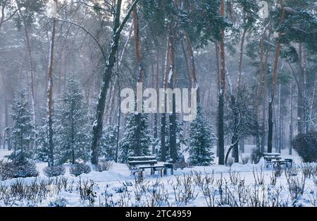 Banc dans le parc avec des sapins et des pins en chute libre après la charge de traîneaux et de la neige épaisse à l'arrière-plan. Rue d'hiver enneigée dans une ville. Prévisions météorologiques Banque D'Images