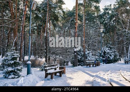 Banc dans le parc avec des sapins et des pins en chute libre après la charge de traîneaux et de la neige épaisse à l'arrière-plan. Rue d'hiver enneigée dans une ville. Prévisions météorologiques Banque D'Images