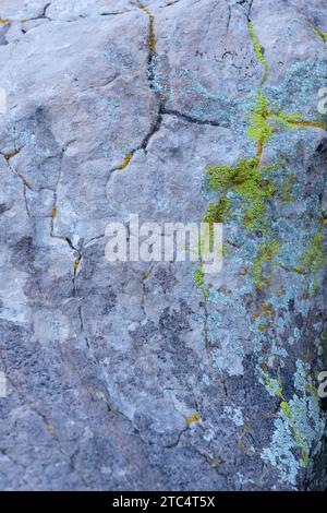 Lichen sur une paroi rocheuse à Red Rock Canyon dans le Nevada. Banque D'Images