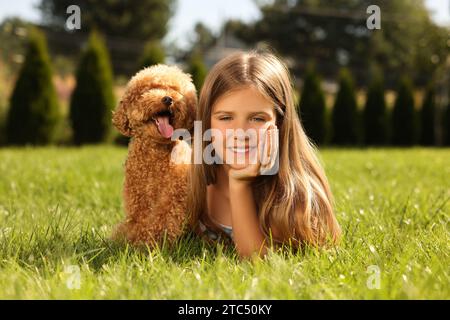 Belle fille avec chien mignon Maltipoo sur la pelouse verte dans le parc Banque D'Images