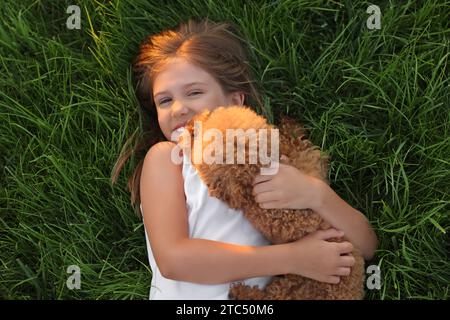 Belle fille avec chien mignon Maltipoo sur pelouse verte à l'extérieur, vue de dessus Banque D'Images
