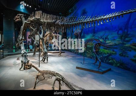 Squelettes de dinosaures dans une lumière dramatique dans le musée d'histoire naturelle, Hohhot, Mongolie intérieure, Chine Banque D'Images