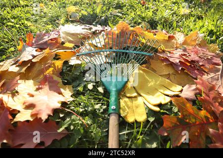 Râteau et chute des feuilles sur l'herbe à l'extérieur, gros plan Banque D'Images