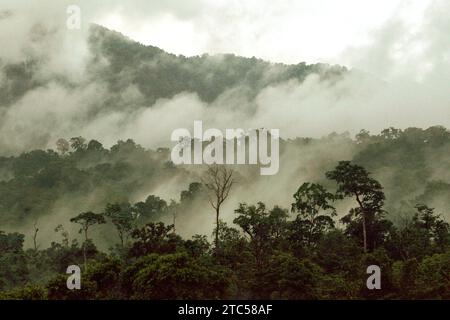 Paysage forestier au pied du mont Tangkoko et Duasudara (Dua Saudara) dans le nord de Sulawesi, Indonésie. La restauration des forêts mondiales là où elles se produisent naturellement pourrait potentiellement capturer 226 gigatonnes supplémentaires de carbone pour le réchauffement de la planète, équivalent à environ un tiers de la quantité libérée par les humains depuis le début de l’ère industrielle, selon une nouvelle étude publiée sur nature, comme rapporté par Catrin Einhorn sur le New York Times, le 13 novembre 2023. Cependant, le monde est à la traîne dans les engagements de protection et de restauration des forêts, selon l'évaluation de la Déclaration sur les forêts de 2023, ... Banque D'Images