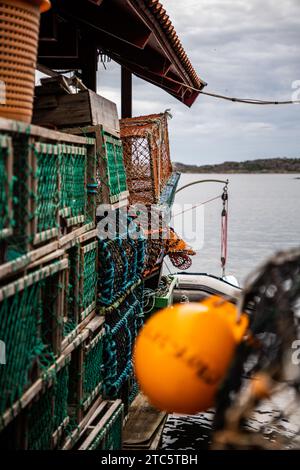 Gros plan d'une bouée avec une ligne de filets de pêche Banque D'Images