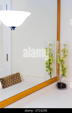 Un intérieur contemporain de salle de bain d'hôtel avec un vase décoratif placé devant un grand miroir Banque D'Images