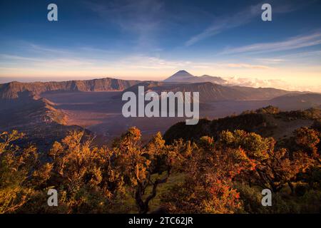 Volcan du mont Bromo (Gunung Bromo) au coucher du soleil depuis le point de vue sur le mont Penanjakan. Situé dans le parc national de Semeru, Java oriental, Indonésie. Banque D'Images