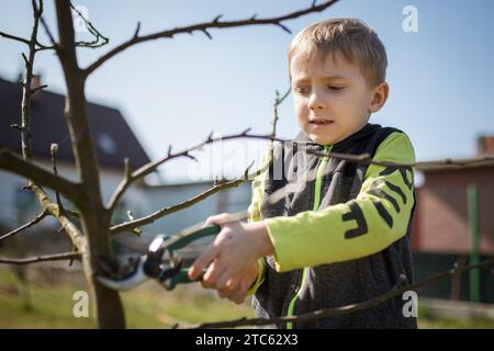 Un garçon de six ans dans le jardin coupe les branches de l'arbre pendant la journée ensoleillée de printemps. Banque D'Images