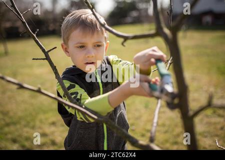 Un garçon de six ans dans le jardin coupe les branches de l'arbre pendant la journée ensoleillée de printemps. Banque D'Images