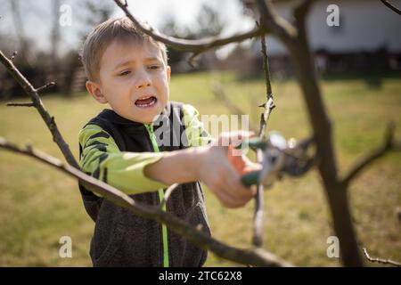 Un garçon de six ans dans le jardin coupe les branches de l'arbre pendant la journée ensoleillée de printemps. Banque D'Images