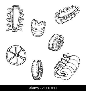 Illustration à l'encre vectorielle dessinée à la main. Types de pâtes cuisine italienne radiatori rotelle plat. Ensemble d'éléments d'objet unique isolés sur blanc. Pour Illustration de Vecteur