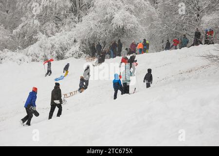 Les gens avec des traîneaux grimpant sur une colline enneigée à Munich, Bavière, Allemagne. Banque D'Images