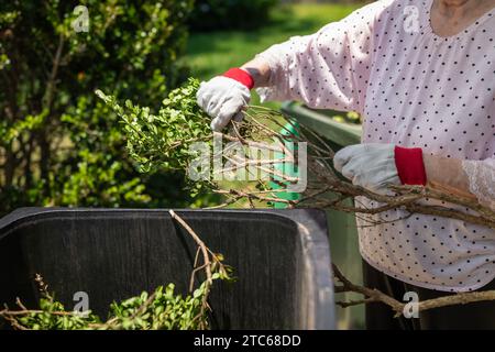 Dame âgée jetant des déchets verts de jardin dans la poubelle. Concept de nettoyage de jardin de printemps. Banque D'Images