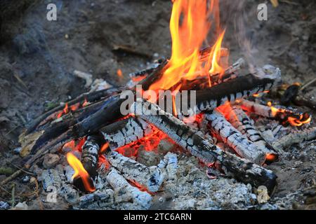 Flammes chaudes sur le bois brûlant dans un feu de camp Banque D'Images