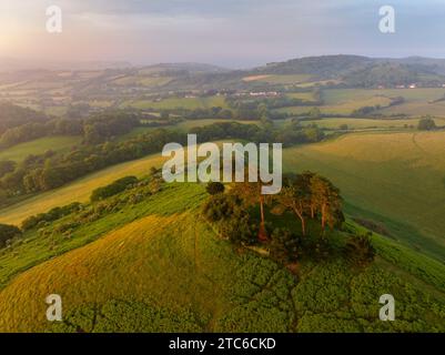 Vue aérienne de Colmer's Hill à l'aube un matin d'été, West Dorset, Angleterre. Été (juin) 2023. Banque D'Images