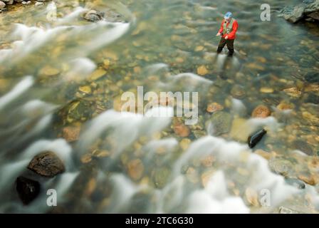 Un homme pêchant à la mouche dans la rivière cache la poudre près de fort Collins, Colorado. Banque D'Images