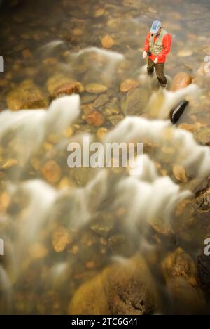 Un homme pêchant à la mouche dans la rivière cache la poudre près de fort Collins, Colorado. Banque D'Images