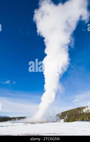 Vieux fidèles en éruption en hiver dans le parc national de Yellowstone, Wyoming. Banque D'Images