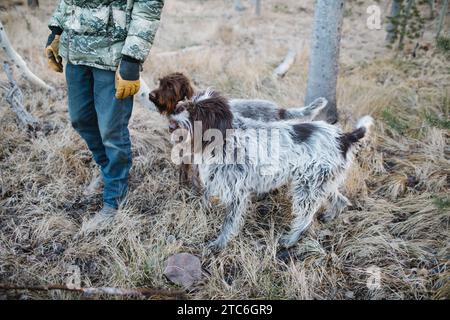 Chiens et chasseurs debout dans la forêt pendant l'automne de l'Idaho Banque D'Images