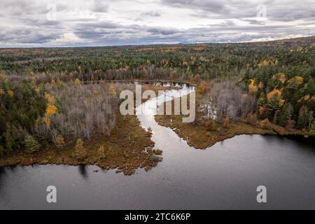 La rivière traverse les tourbières et les terres marécageuses avant de se jeter dans le lac. Banque D'Images