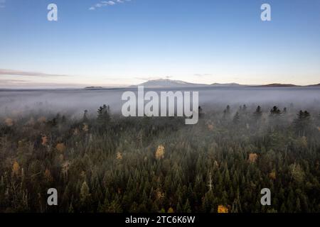 La brume dérive sur les bois du Maine à l'automne, Katahdin au loin. Banque D'Images