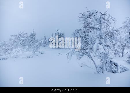 Une vue panoramique sur les merveilles hivernales de Saariselka en Laponie, Finlande Banque D'Images