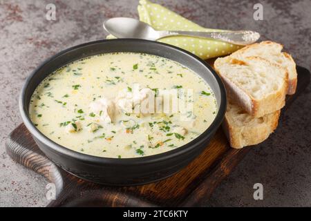 Soupe de poulet aigre maison avec de la crème sure et des légumes gros plan dans un bol sur la table. Horizontal Banque D'Images