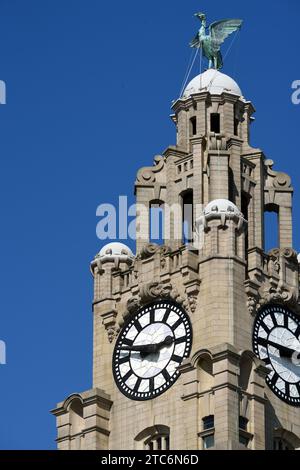 Corner Clock Tower & Liver Bird of the Royal Liver Building (1908-1911) par Walter Aubrey Thomas, sur le Pier Head ou Waterfront Liverpool Angleterre Royaume-Uni Banque D'Images