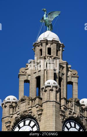 Corner Clock Tower & Liver Bird of the Royal Liver Building (1908-1911) par Walter Aubrey Thomas, sur le Pier Head ou Waterfront Liverpool Angleterre Royaume-Uni Banque D'Images