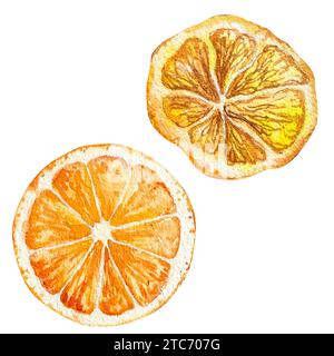 une tranche d'orange et une tranche de citron séché, illustration à l'aquarelle dessinée à la main d'orange et de citron. Banque D'Images