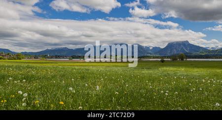 Hopfensee, derrière les Alpes Hopfen am See et Ammergau, près de Füssen, Ostallgäu, Allgäu, Bavière, Allemagne, Europe Banque D'Images