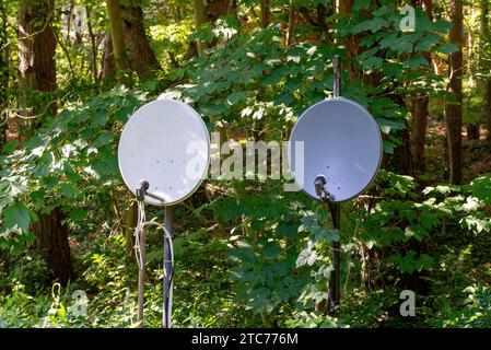 Deux vieilles antennes satellites sur un support métallique devant une forêt et il y a beaucoup de vieux câbles suspendus aux antennes. Banque D'Images