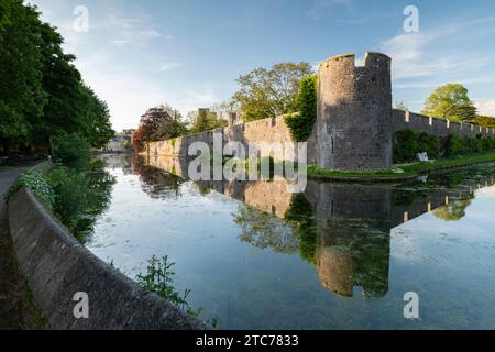 Le palais épiscopal se reflète dans ses douves, Wells, Somerset, Angleterre. Printemps (mai) 2019. Banque D'Images