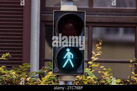 Lichtsignalanlage Eine Lichtsignalanlage für Fussgänger zeigt Grün an. Fussgänger dürfen nun die Strassen sicher überqueren. Konstanz, Deutschland, 20.11.2022 *** système de feux de circulation Un système de feux de circulation pour piétons montre que les piétons verts sont désormais autorisés à traverser les rues en toute sécurité Constance, Allemagne, 20 11 2022 Credit : Imago/Alamy Live News Banque D'Images