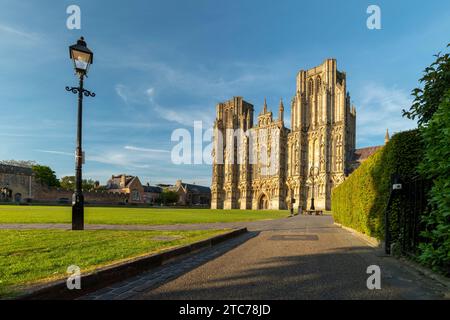 La magnifique face ouest de la cathédrale de Wells par une soirée ensoleillée de printemps, Wells, Somerset, Angleterre. Printemps (mai) 2019. Banque D'Images