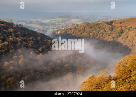 Brumes d'automne dans la vallée de Teign au-dessus du pont de Fingle, Dartmoor, Devon, Angleterre. Automne (novembre) 2020. Banque D'Images