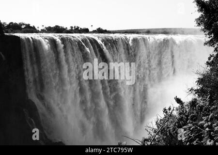 Victoria Falls au Zimbabwe. Banque D'Images