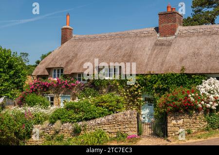 Chalet idyllique au chaume et jardin fleuri coloré dans le village de Powerstock, Dorset, Angleterre. Été (juin) 2023. Banque D'Images