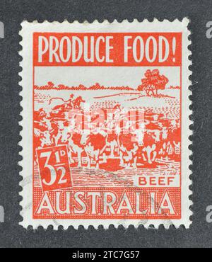 Timbre postal annulé imprimé par l'Australie, qui montre des vaches (Bos primigenius Taurus), produire de la nourriture - boeuf, vers 1953. Banque D'Images